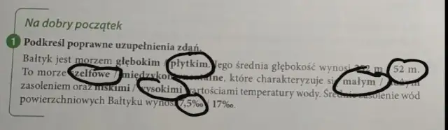 Czy Bałtyk jest płytki? Zaskakujące fakty o głębokości naszego morza