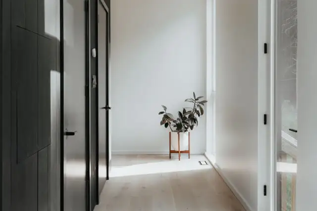 Un recibidor sin espejo, con puertas oscuras y una planta en maceta blanca sobre un soporte de madera. La luz del sol ilumina el suelo de madera clara.