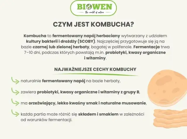 Kombucha: Na co działa? Korzyści, skutki uboczne i dawkowanie