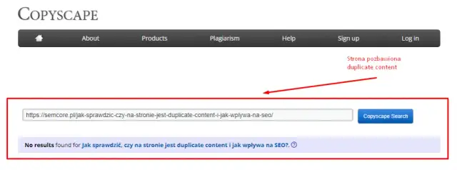 Duplicate content: Jak wykryć i wyeliminować? Pełen poradnik.