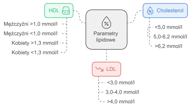 Schemat parametrów lipidowych: HDL, LDL i cholesterol. Wysokie triglicerydy mogą wpływać na te wyniki.