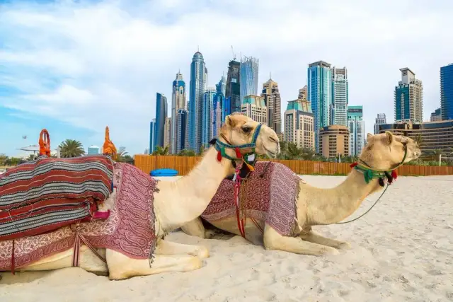 Gdzie leżą Zjednoczone Emiraty Arabskie? Odkryj ich położenie i sąsiadów