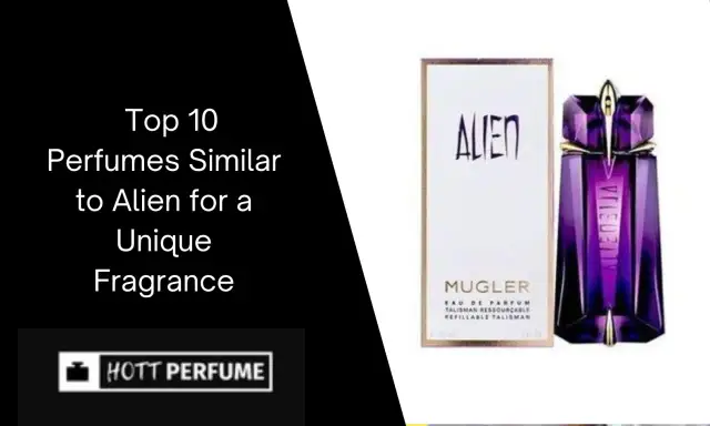 Alien Duftalternativen finden: Die besten Dupes & ähnliche Düfte