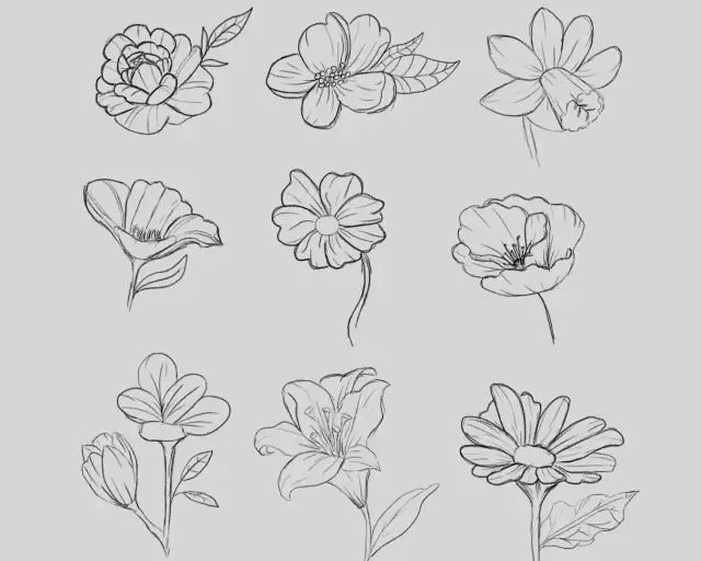Blumen zeichnen mit Bleistift: Einfache Anleitung für Anfänger
