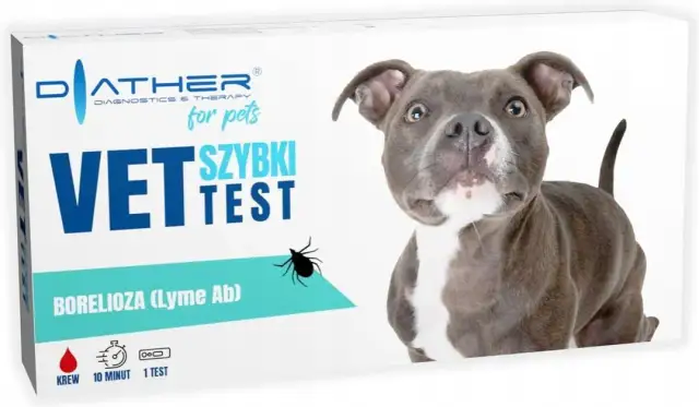 Ile kosztuje test na boreliozę dla psa? Ceny, które musisz znać