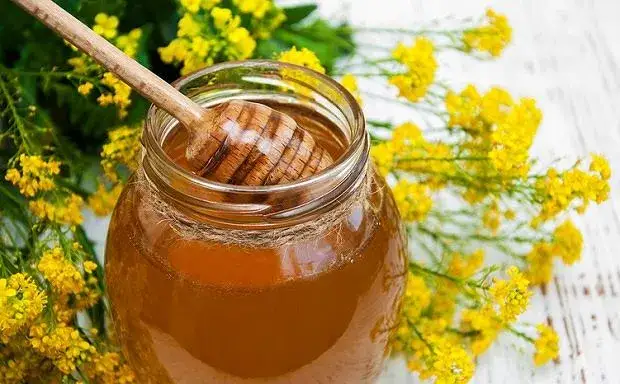Miód rzepakowy na co pomaga? Właściwości, zastosowanie i przeciwwskazania
