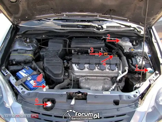 Honda Civic: Gdzie i jaki płyn wlać? Uniknij błędów!