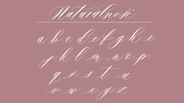 Elegancka kaligrafia alfabetu polskiego, litery a-z, pisane płynną, ozdobną czcionką.