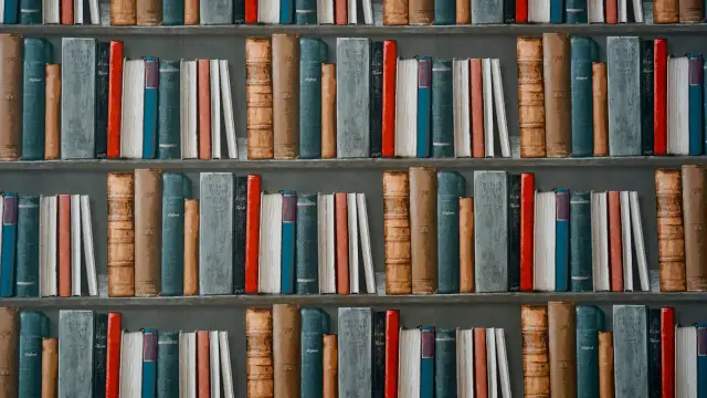 Jakie przedmioty na maturze do pedagogiki wczesnoszkolnej? Sprawdź wymagania