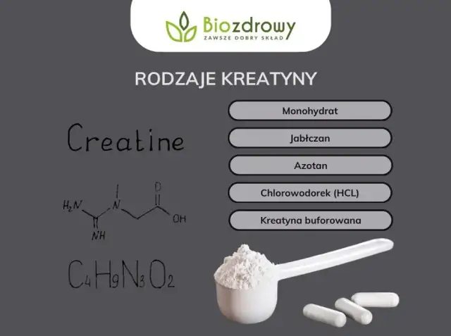 Kreatyna: Optymalna pora? Przed czy po? Klucz to regularność!