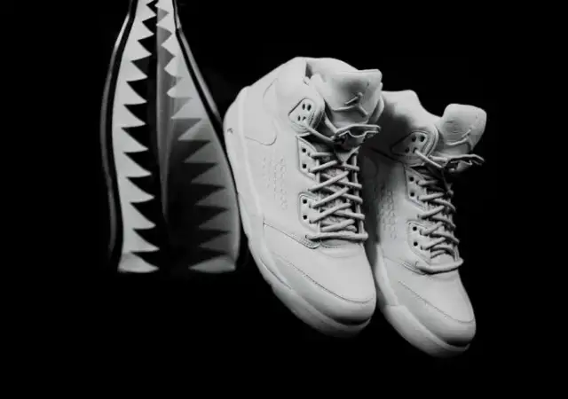 Air Jordan 5 Retro Premium Pure Platinum - Ceny i dostępność w 2023