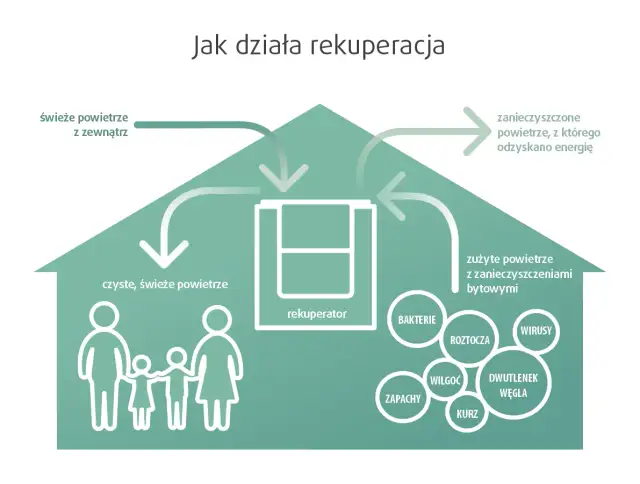 Rekuperacja w Nisku: Kompleksowy Przegląd Usług i Korzyści