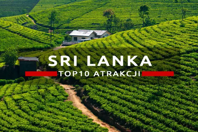 Zielone tarasy plantacji herbaty na Cejlonie, Sri Lanka. W tle domki i droga.