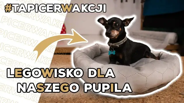 Legowisko dla psa z poduszki: Prosty DIY zrób to sam!