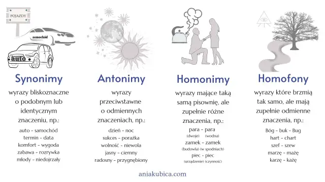 10 przykładów homonimów, antonimów, synonimów i homofonów. Obrazek przedstawia przykłady różnych typów wyrazów.
