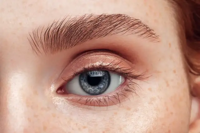 Nahaufnahme eines blauen Auges mit Sommersprossen und perfekt geformten Augenbrauen.
