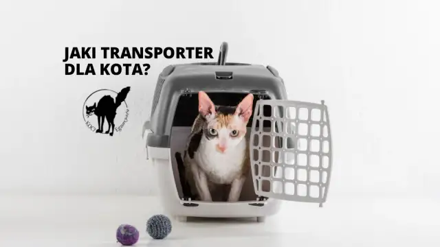 Czarny transporter dla kota: Jaki wybrać? Poradnik 2024