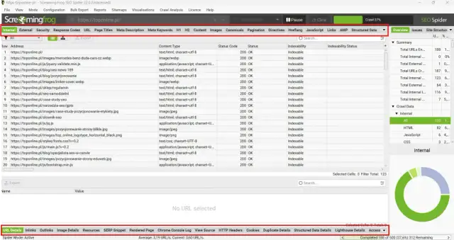 Screaming Frog SEO Spider analizuje strony, pokazując listę adresów URL. Wśród nich jest "screaming frog" jako nazwa pliku.
