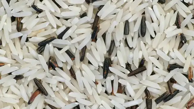 Czy ryż basmati nadaje się do risotto? Oto, co musisz wiedzieć