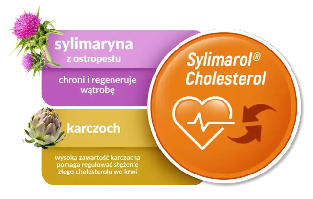 Sylimaryna z ostropestu i karczoch na tle grafiki z sercem i strzałkami, symbolizujące regulację cholesterolu.