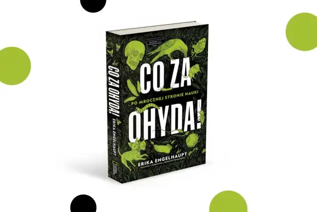 Jak się pisze ohyda? Odkryj zasady pisowni i znaczenie tego słowa