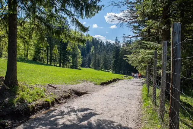 Bacówka na Polanie Biały Potok: Skosztuj Tatr! Sery, dojazd, porady