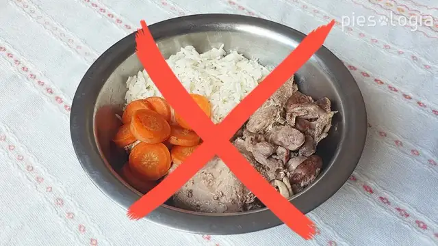 Gotowana wołowina dla psa: Jak przygotować ją bezpiecznie i zdrowo?