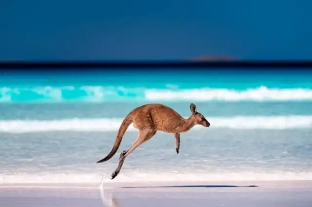Ile trwa lot z Warszawy do Australii? Sprawdź, zanim zarezerwujesz!