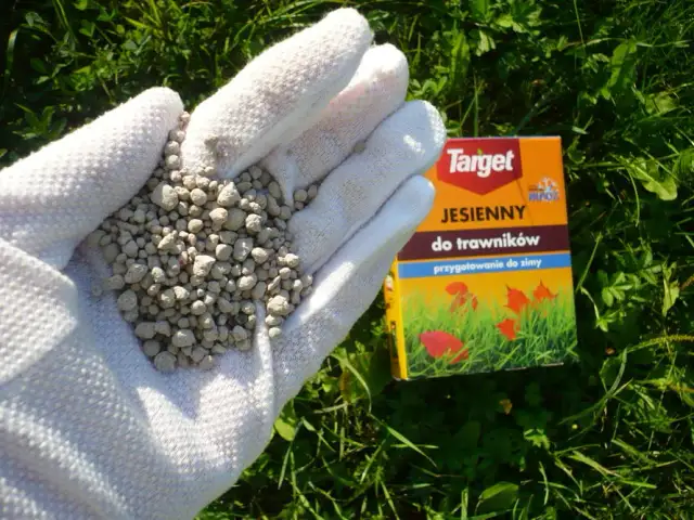 Co najpierw nawóz czy trawa? Kluczowe kroki dla pięknego trawnika