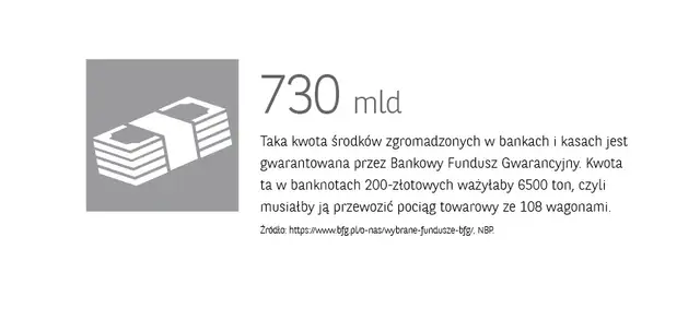 Bankowy Fundusz Gwarancyjny: Twoje oszczędności bezpieczne do 100 tys. euro