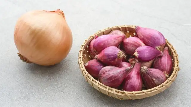 Qué es la chalota - Diferencias con la cebolla y cómo cocinarla