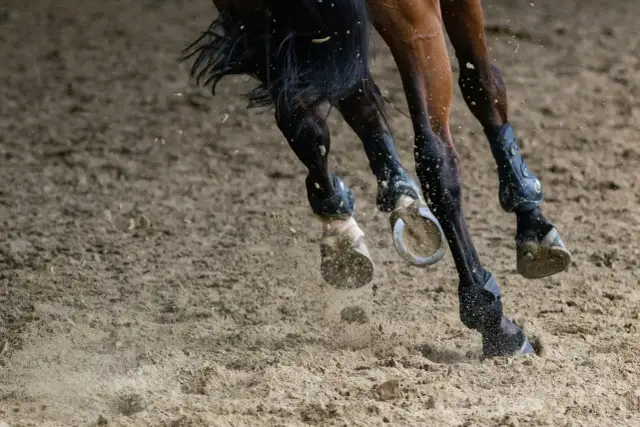 Koń galopuje po piasku, jego kopyta wzbijają kurz. Nogi konia są zabezpieczone ochraniaczami, jakby posmarowane dziegieć maść dla ochrony.