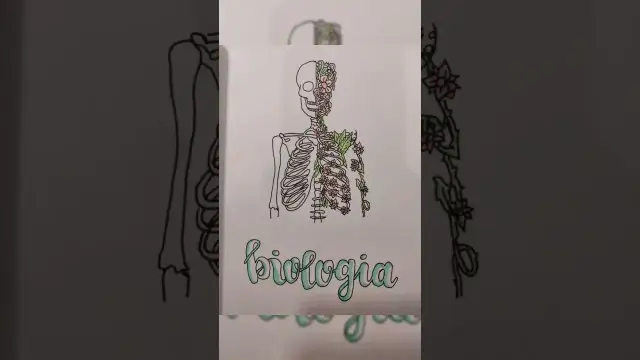 Jak ozdobić zeszyt do biologii, aby był wyjątkowy i inspirujący