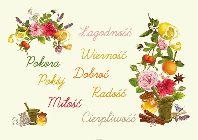 Kwiaty, owoce i zioła symbolizują owoce ducha świętego: łagodność, wierność, dobroć, pokorę, pokój, miłość, radość i cierpliwość.