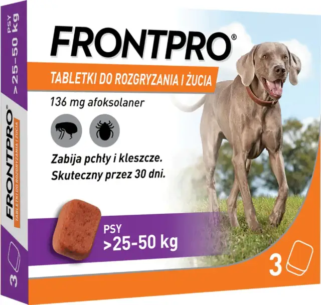 Jakie tabletki na kleszcze dla psa? Wybierz najlepsze i bezpieczne!