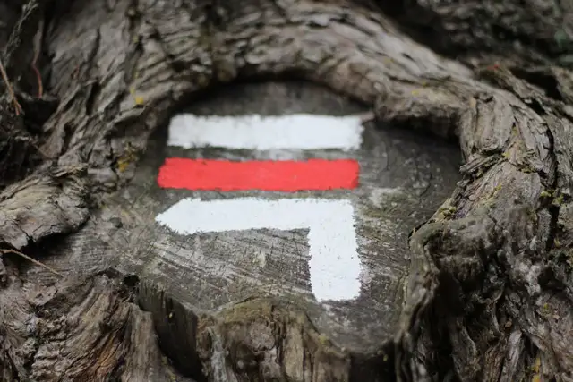 Co oznaczają kolory szlaków PTTK? Obalamy mit trudności!