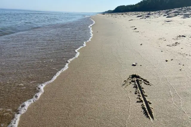 Strzałka narysowana w piasku na plaży, z widokiem na morze i las w tle.