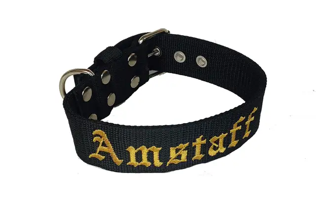 Czarna obroża dla amstaffa z haftowanym napisem "Amstaff" w kolorze złotym. Solidne metalowe okucia.