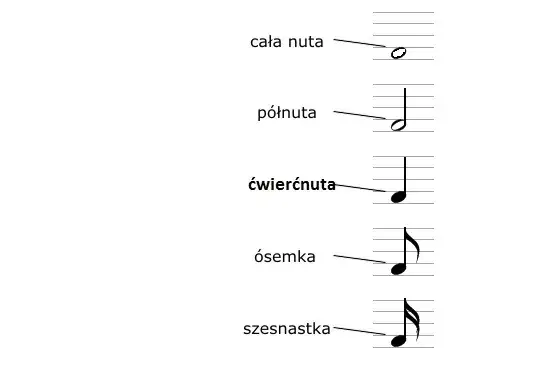 Jak wygląda cała nuta? Zrozum jej wartość i pauzę!