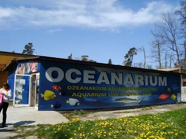 Oceanarium Mielno: Czy to miejsce już nie działa i co dalej?