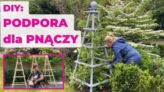 Jak zrobić pergolę na róże, aby pięknie kwitły przez lata