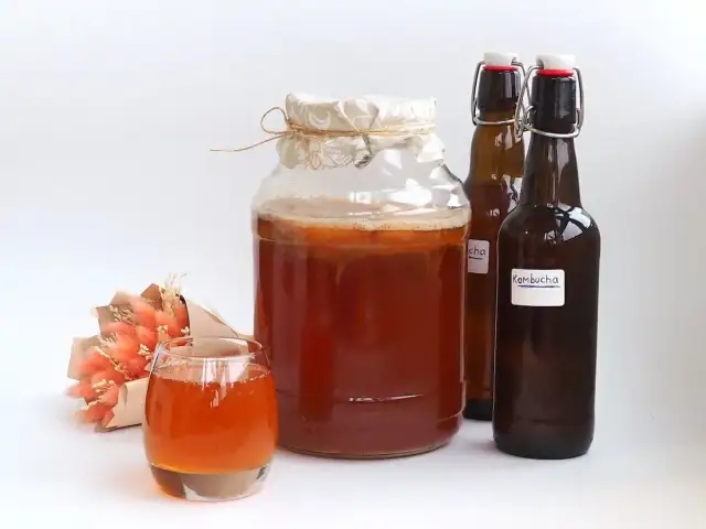 Skąd kombucha? Podróż przez wieki: od cesarzy do Twojej szklanki.