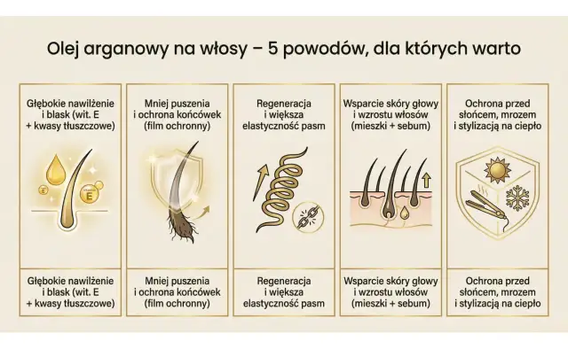 Odkryj niezwykłe **olejek arganowy właściwości**: nawilżenie, blask, regeneracja, wsparcie skóry głowy i ochrona przed czynnikami zewnętrznymi.