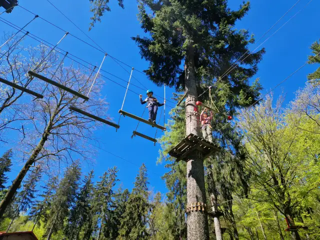 Park linowy Jedlanka: Stara Jedlanka czy Jedlina-Zdrój? Wybierz idealny!