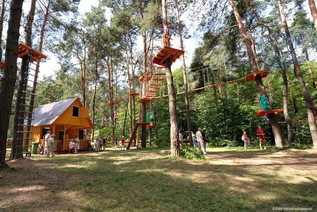 Park linowy Kielce cennik: Kadzielnia, trasy, zniżki Zaplanuj wizytę!