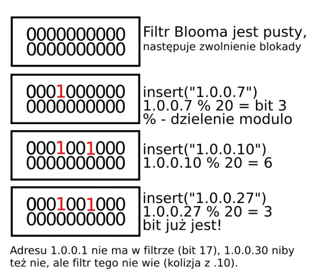 Jak zmienić adres IP na system binarny w prosty sposób i uniknąć błędów