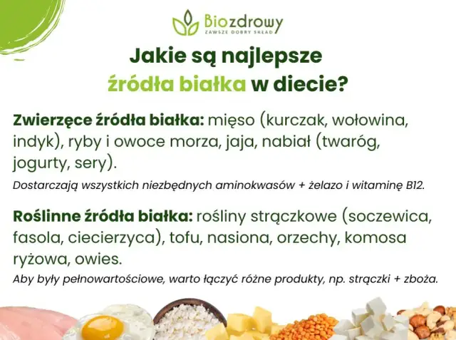 Białko roślinne: co zawiera i jak jeść mądrze? Pełny przewodnik