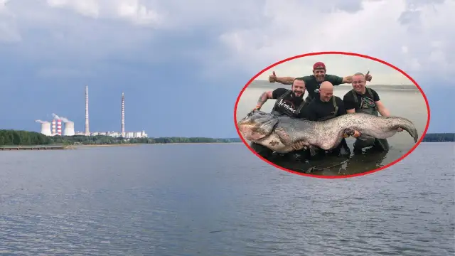 Wędkarze z dumą prezentują gigantycznego suma złowionego w okolicach elektrowni Poraj.