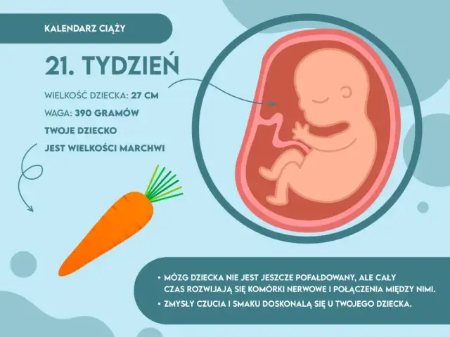 Ile waży dziecko w 21 tygodniu – zaskakujące fakty o wadze płodu