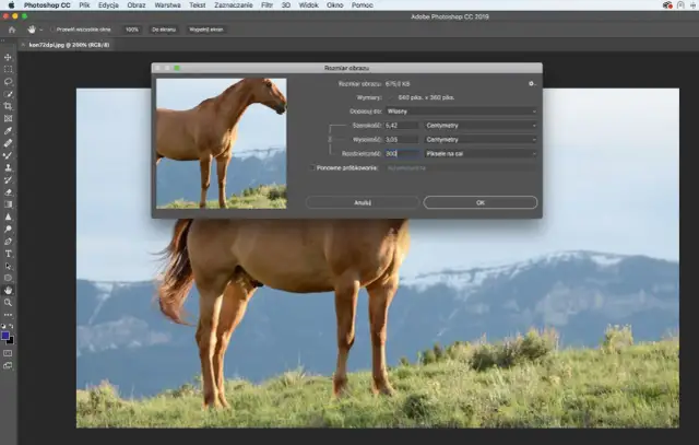 Jak zmienić DPI zdjęcia w Photoshopie? Okno "Rozmiar obrazu" pokazuje rozdzielczość 300 pikseli na cal.